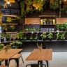 Rima cafe, cafe, restaurant and playhouse in Garmdera