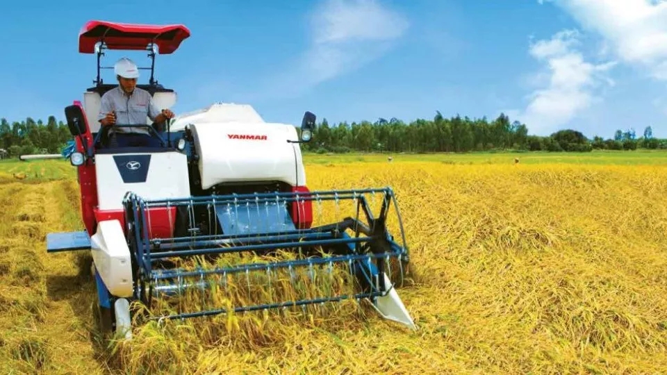 The new harvest of Sina agricultural machinery agency in Rasht
