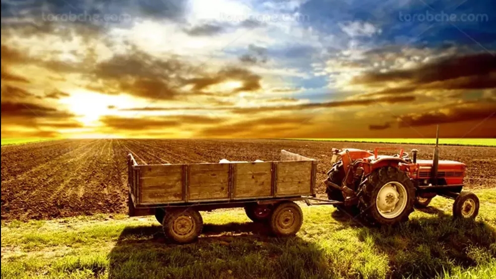Mianderod Green Farm agency in Rasht