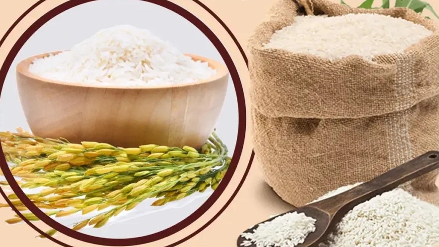 Kaabipur rice milling factory, production and sale of half-grain rice and bran in Shushtar