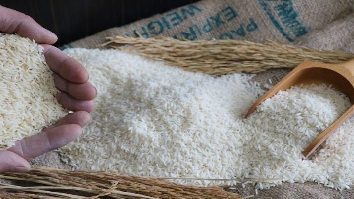 Sale of Tarem Hashemi rice in Mazandaran