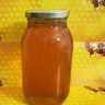 Asal Queen store, production and sale of bee products in Gorgan