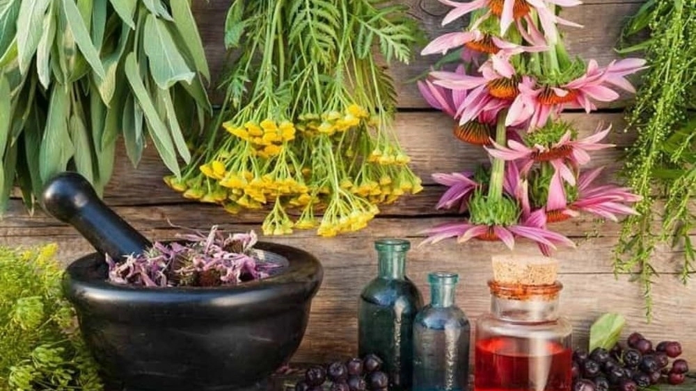 مزیت داروهای گیاهی