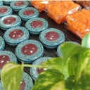 Desert farm, production and sale of barberry saffron and cardamom in Sarayan, South Khorasan