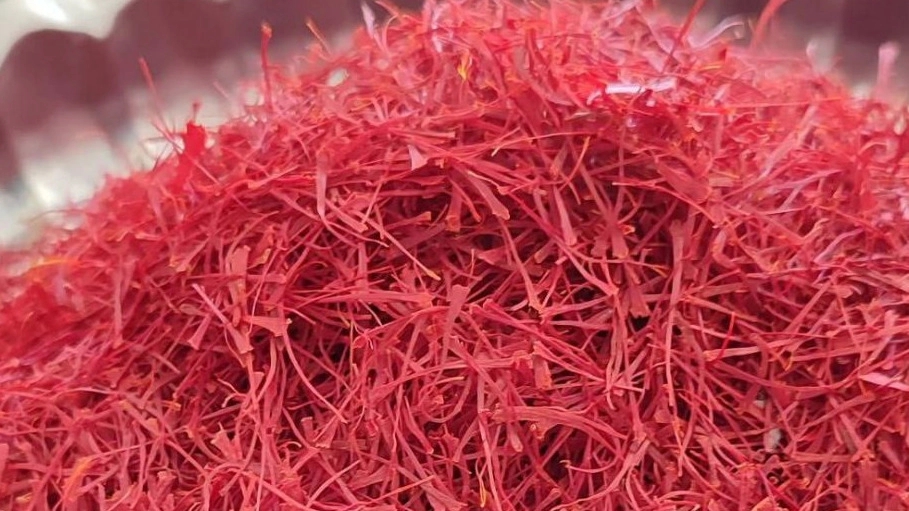 Desert farm, production and sale of barberry saffron and cardamom in Sarayan, South Khorasan