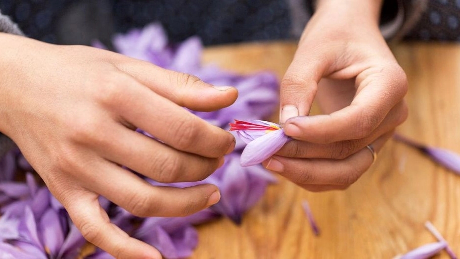 Introducing the most important properties of saffron