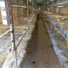 Andisheh company in Khashan, sale of compost and cover soil in Urmia