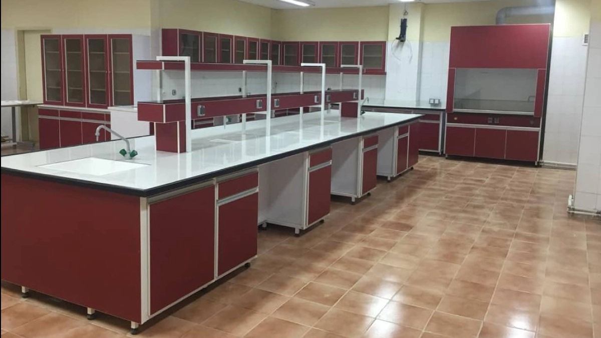 Production of laboratory scaffolding in Tehran