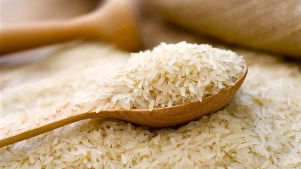 Selling black tail rice in Kalat