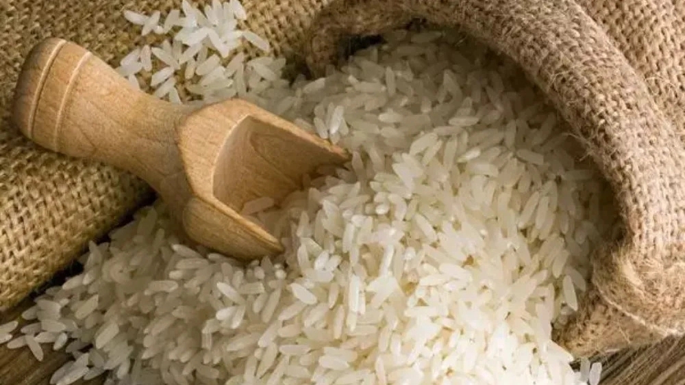 Khani Rice Trading, black tail rice supplier in Razavi Khorasan