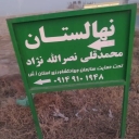 Nasrullah Nejad Nursery, production and sale of persimmon, pomegranate, fig, peach, walnut, and grape seedlings in Tabriz