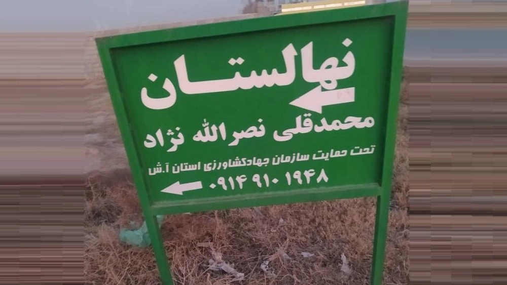 Nasrullah Nejad Nursery, production and sale of persimmon, pomegranate, fig, peach, walnut, and grape seedlings in Tabriz