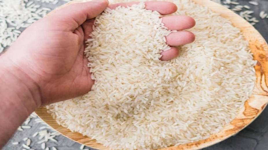 برنج هاشمی گیلان