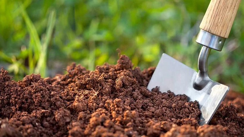 Distribution of Rezai fertilizer, sale of animal manure and garden soil in Tehran