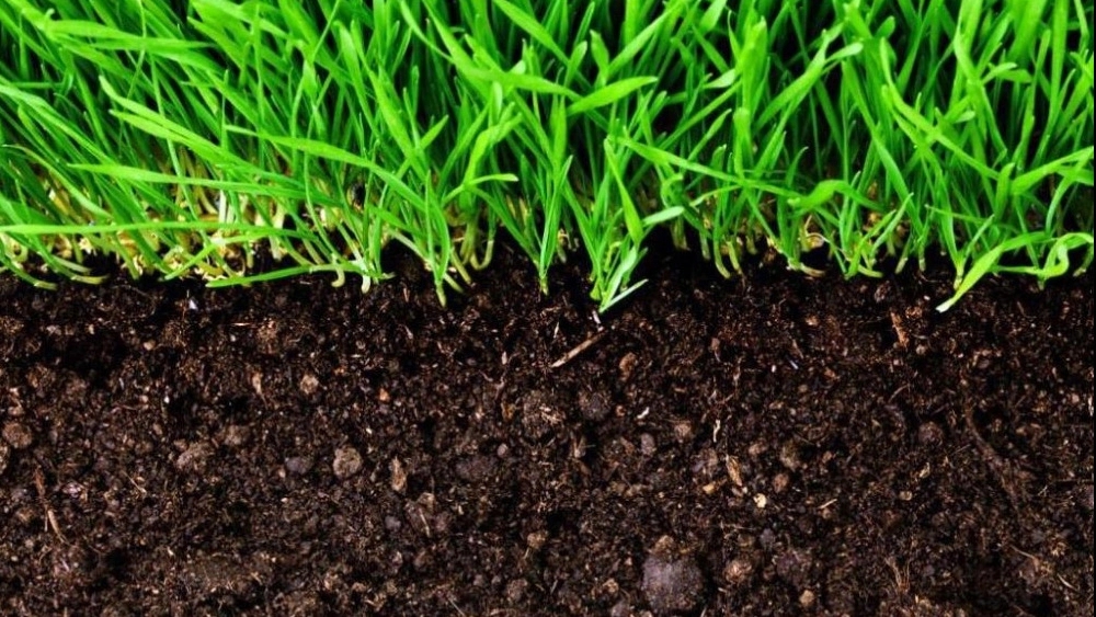 Spreading animal manure in Tehran