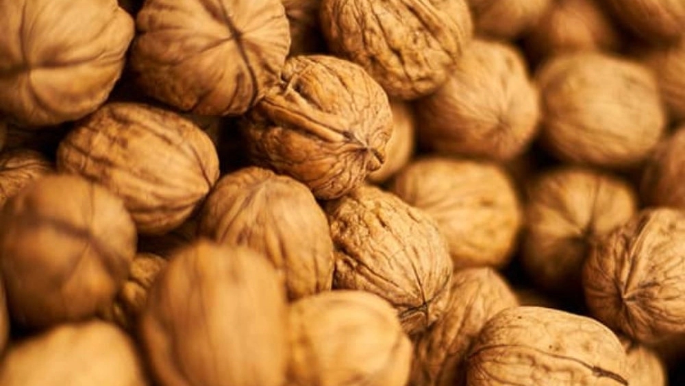 Faraji walnut import, distribution of walnut kernels in Delwar Bushehr port