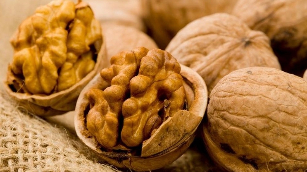 پخش مغز گردو فرجی در بوشهر