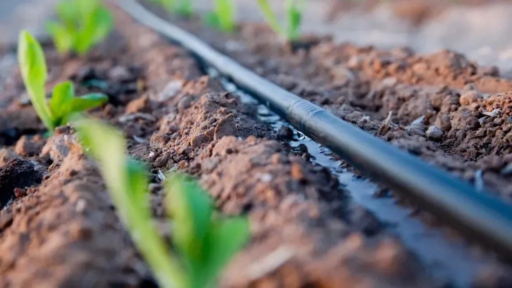 Sale of drip irrigation polyethylene pipe