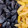 Frasynaps, wholesale sale and export of raisins and raisins in Kashmer Khorasan Razavi