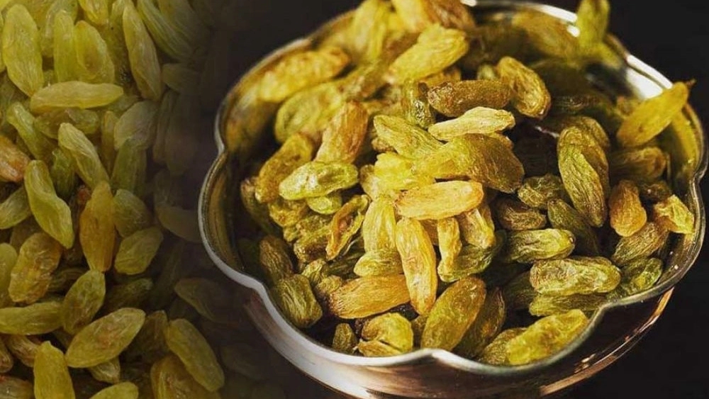 Frasynaps, wholesale sale and export of raisins and raisins in Kashmer Khorasan Razavi