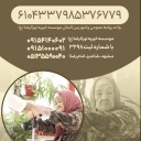Institute for disabled people of Imam Javad (AS) in Shandiz, Mashhad