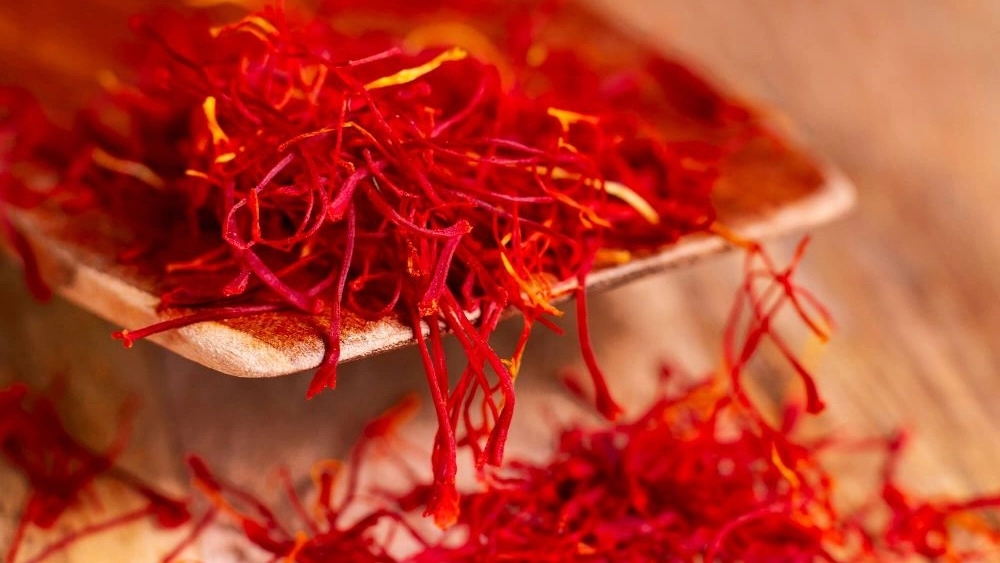 Ghasemi saffron, wholesale sale and export of saffron in Razavi Khorasan