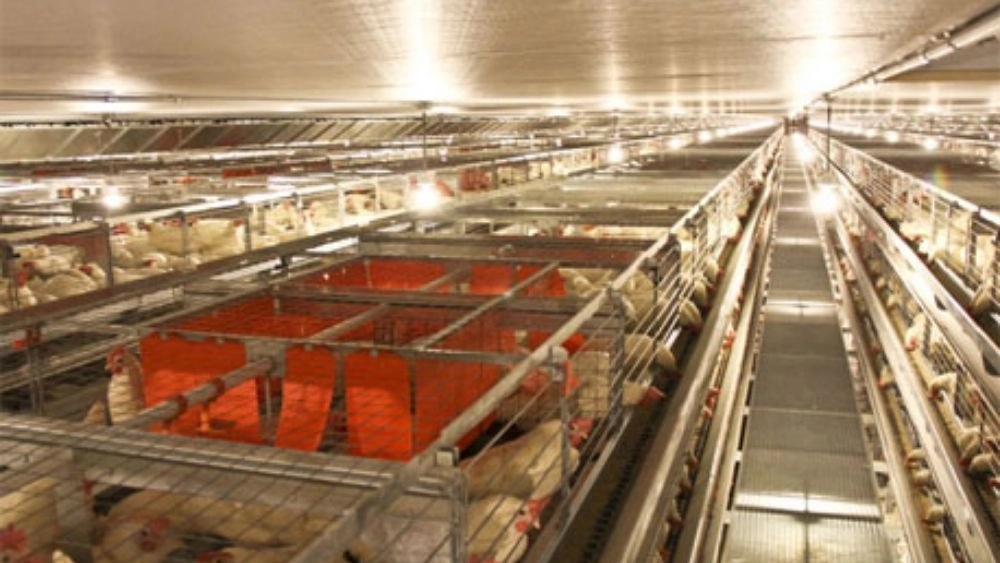 Kakavand Techno Industry in Qazvin