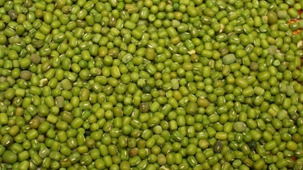 فروش عمده خرده حبوبات در شیراز