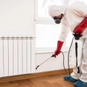 Poya Sam, spraying houses of companies and offices in Shiraz