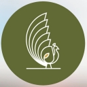 Tantane Gold Gallery, Şiraz'da siyah altın ve parlak yüzük takı satışı ve siparişi