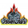 Zaghal Afrooz, wholesale sale and export of multifunctional electric charcoal fryer in Tehran
