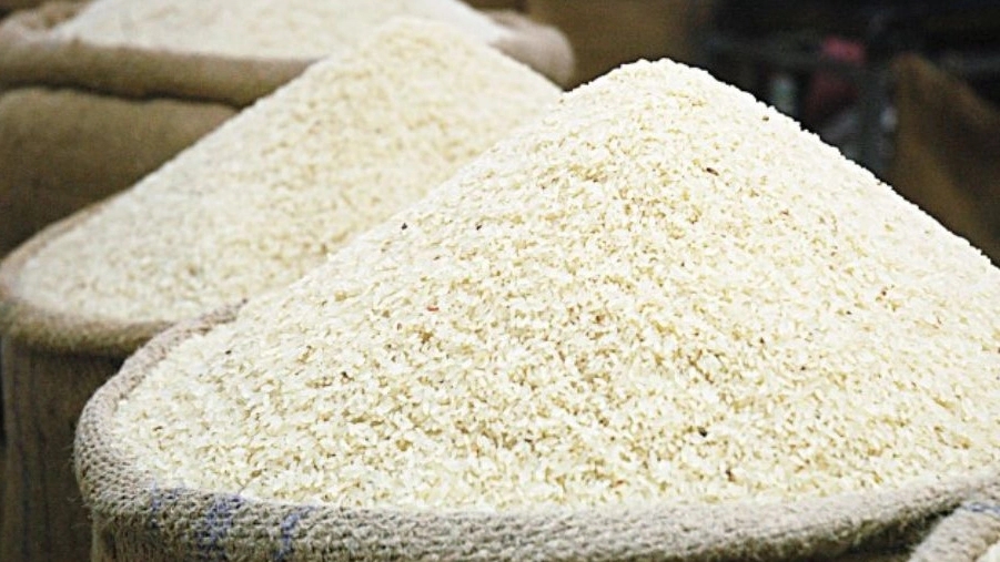 Mahmoud rice, selling all kinds of Iranian rice in Rasht