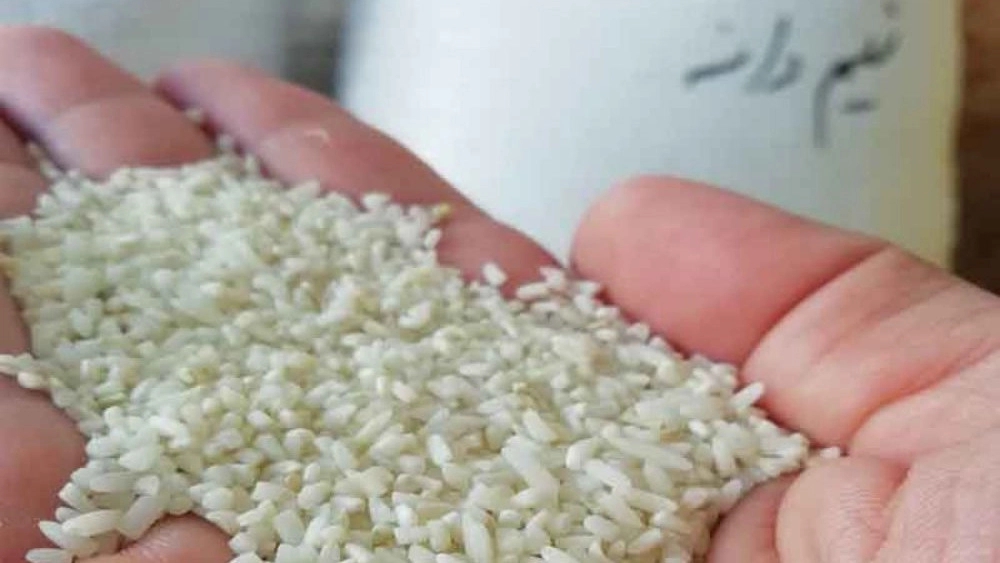 Selling all kinds of rice in Rasht