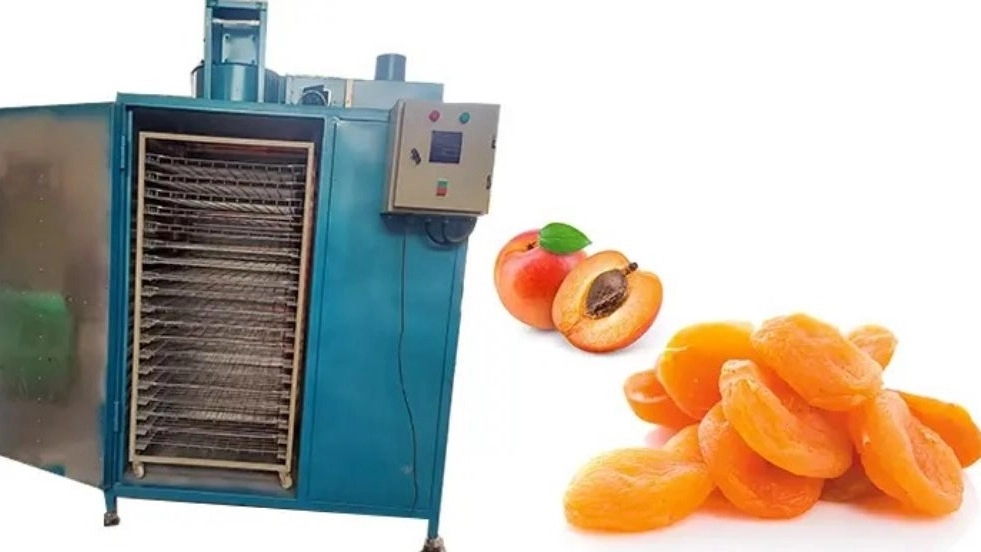 Lavinsa, sale of dry fruit and dry fruit production line machines in Tehran