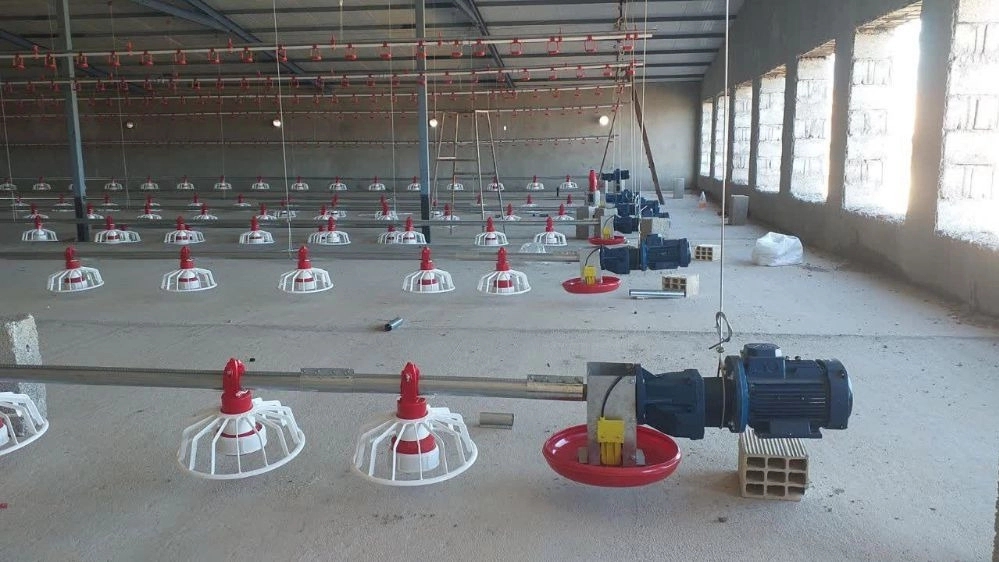 Daman Poultry of Tehran, distribution of spring for transfer of grain and poultry and livestock equipment in Karaj