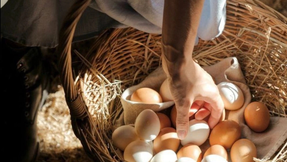 The importance of using organic products