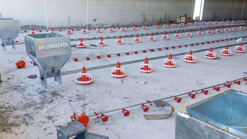 Poultry equipment for automatic feeding in Qazvin