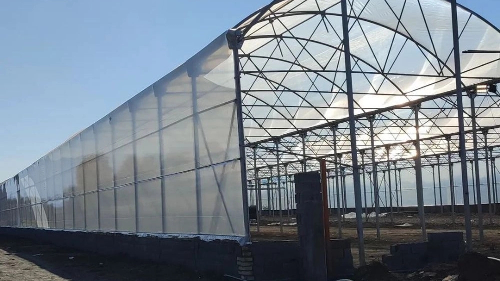 Gol Afrooz Successful Paliz Co., Greenhouse construction in Tehran