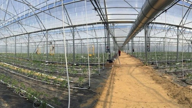 Construction of a greenhouse in Tehran