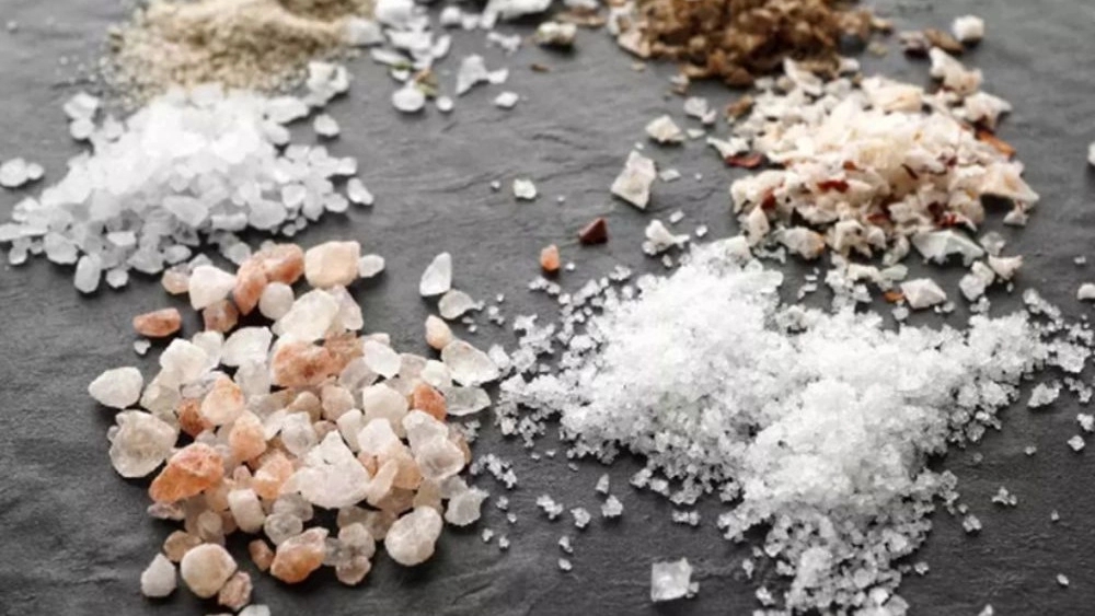 Single salt, production and sale of mineral and organic salt in Persian Gulf, Tehran