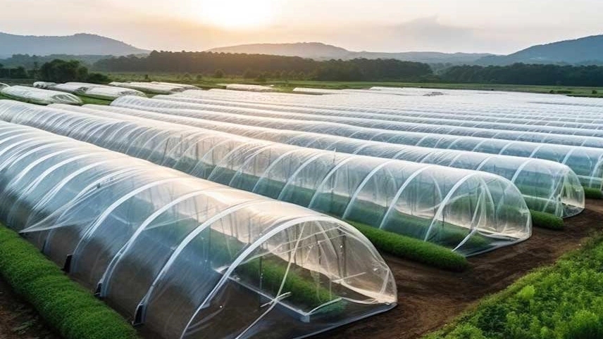 Production and sale of agricultural nylon in Zanjan