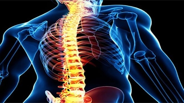 Dr. Abbas Rahimian, Spine Surgeon and Orthopedic Specialist in Tehran
