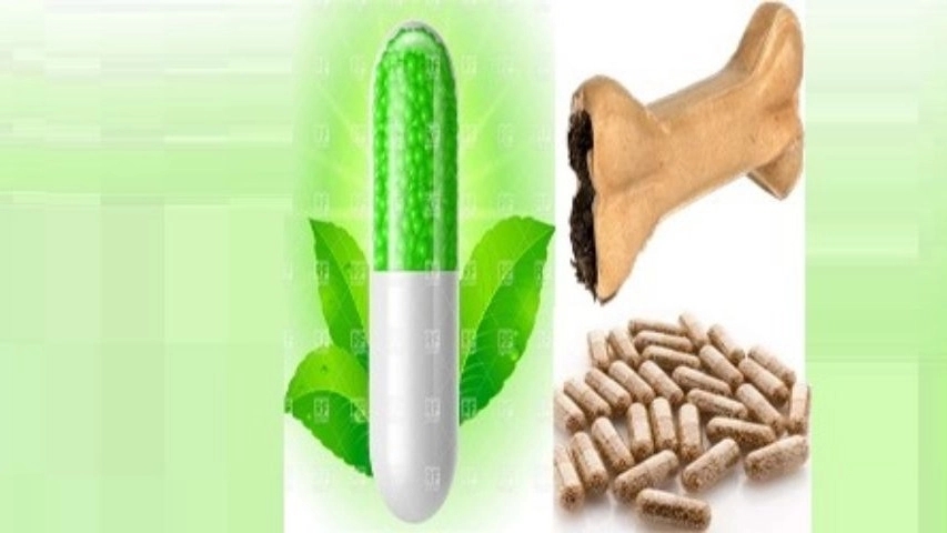پخش پوکه کپسول خالی در تهران