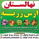 Aras Zarineh nursery, sale of walnut, apricot, peach and apple seedlings in Miandoab