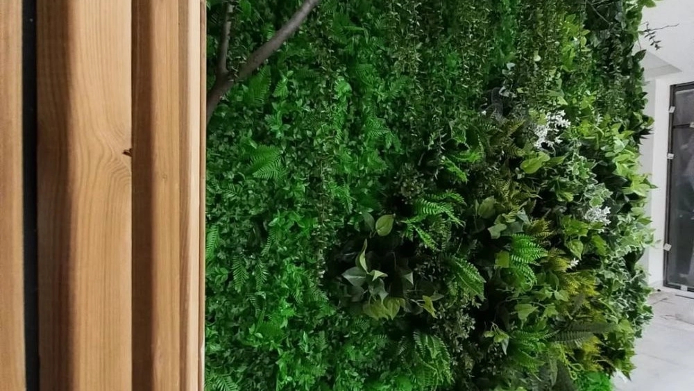 Sale of Green Wall and Fens of Chamani