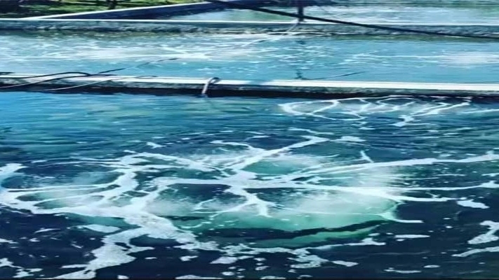 Production of Shahin Fish Fish Diposer in Ardebil