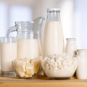 Dairy Voice, Dairy Production and Distribution in Rasht