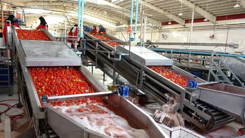 Arab Industrial Group, Manufacturing and Manufacturing of Food and Chemical Industries Machines in Mashhad