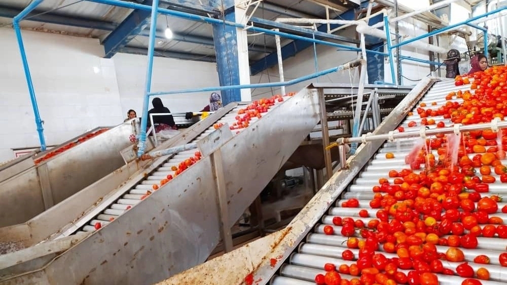 تولید ماشین آلات خطوط رب گروه صنعتی اعراب