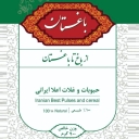 Baghdad Shop, Beans and Cereals Sale in Zanjan